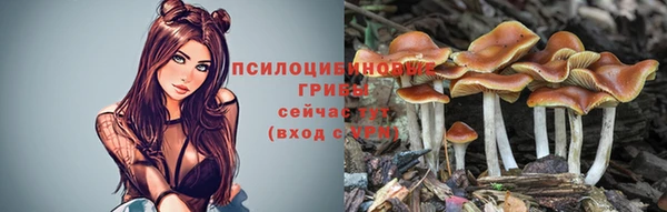 apvp Алексин
